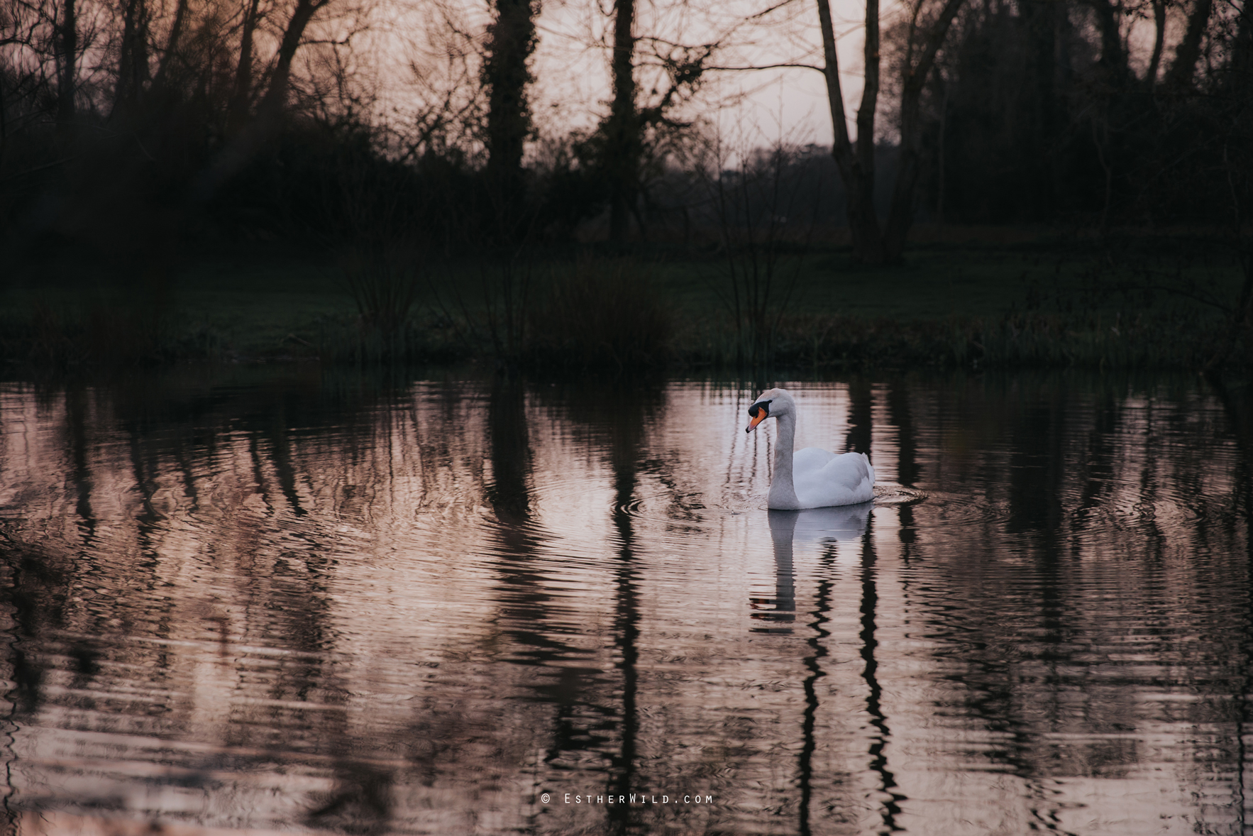 Norfolk_Mead_Hotel_Norwich_Wedding_Esther_Wild_Photographer_Copyright_IMG_2945.jpg