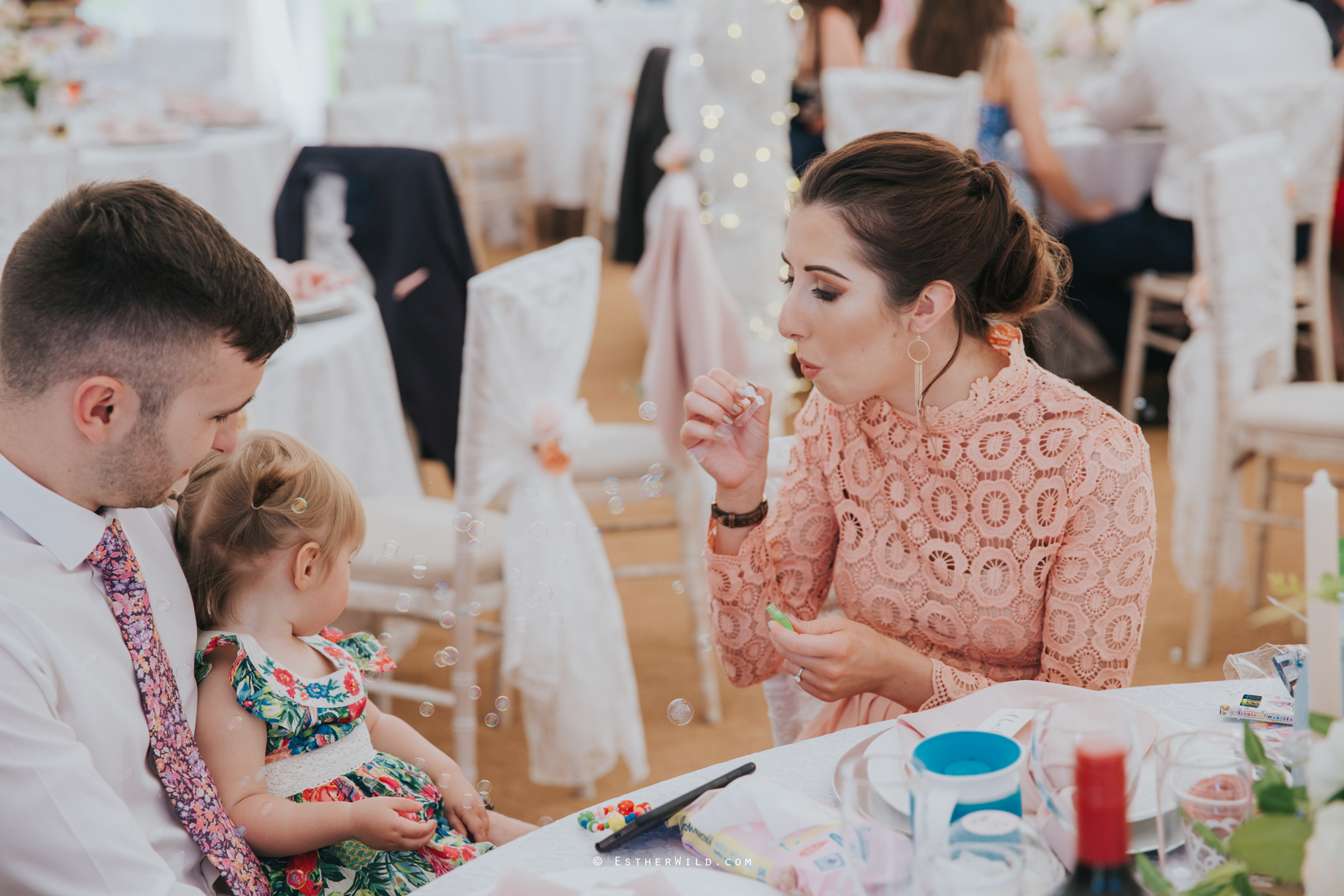 IMG_1577Walpole_St_Andrew_Church_Norfolk_Wedding_Copyright_Esther_Wild_Photographer_.jpg