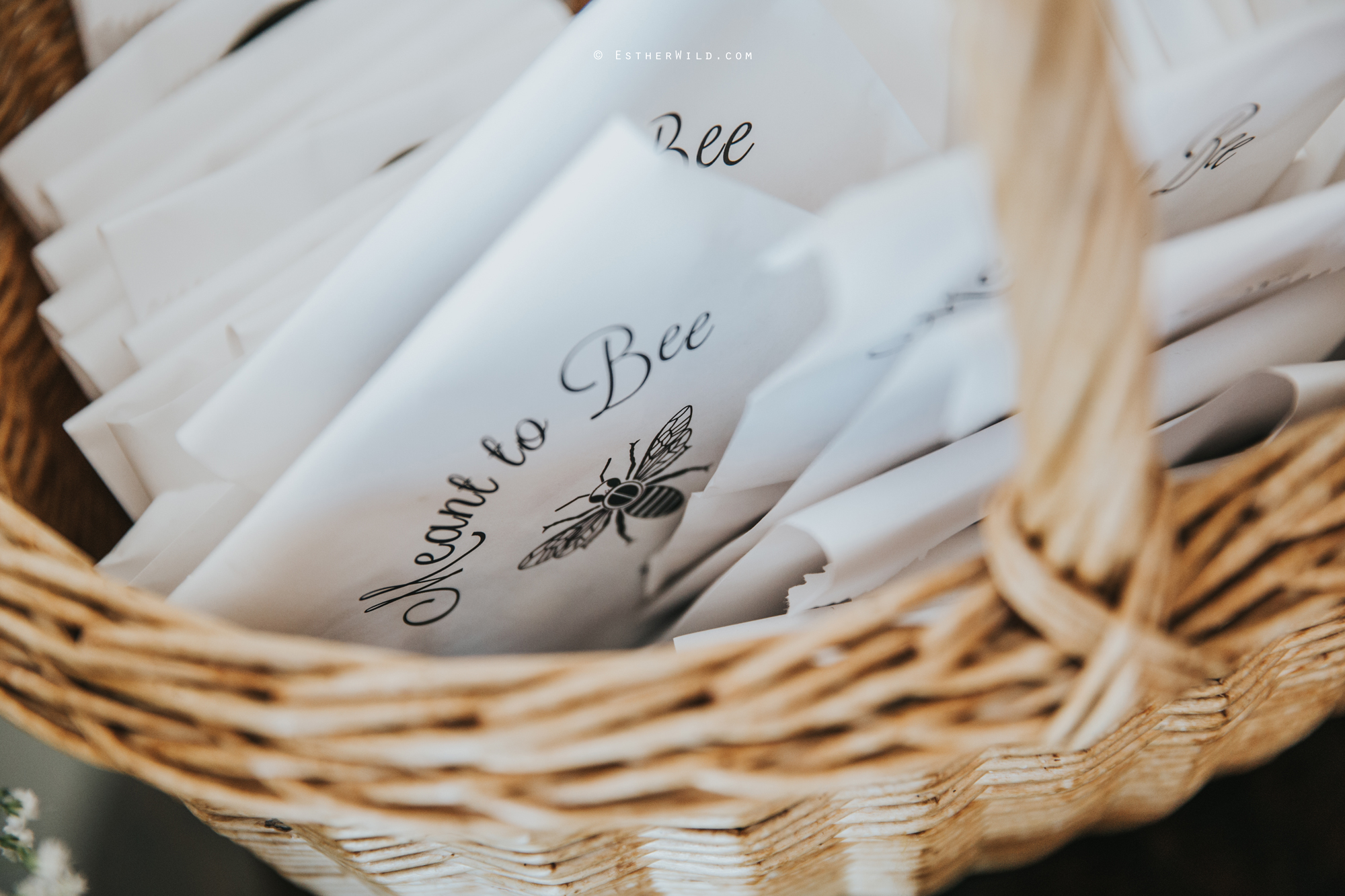 IMG_0006Cley_Barn_Drift_Norfolk_Coast_Wedding_Copyright_Esther_Wild_Photographer_.jpg