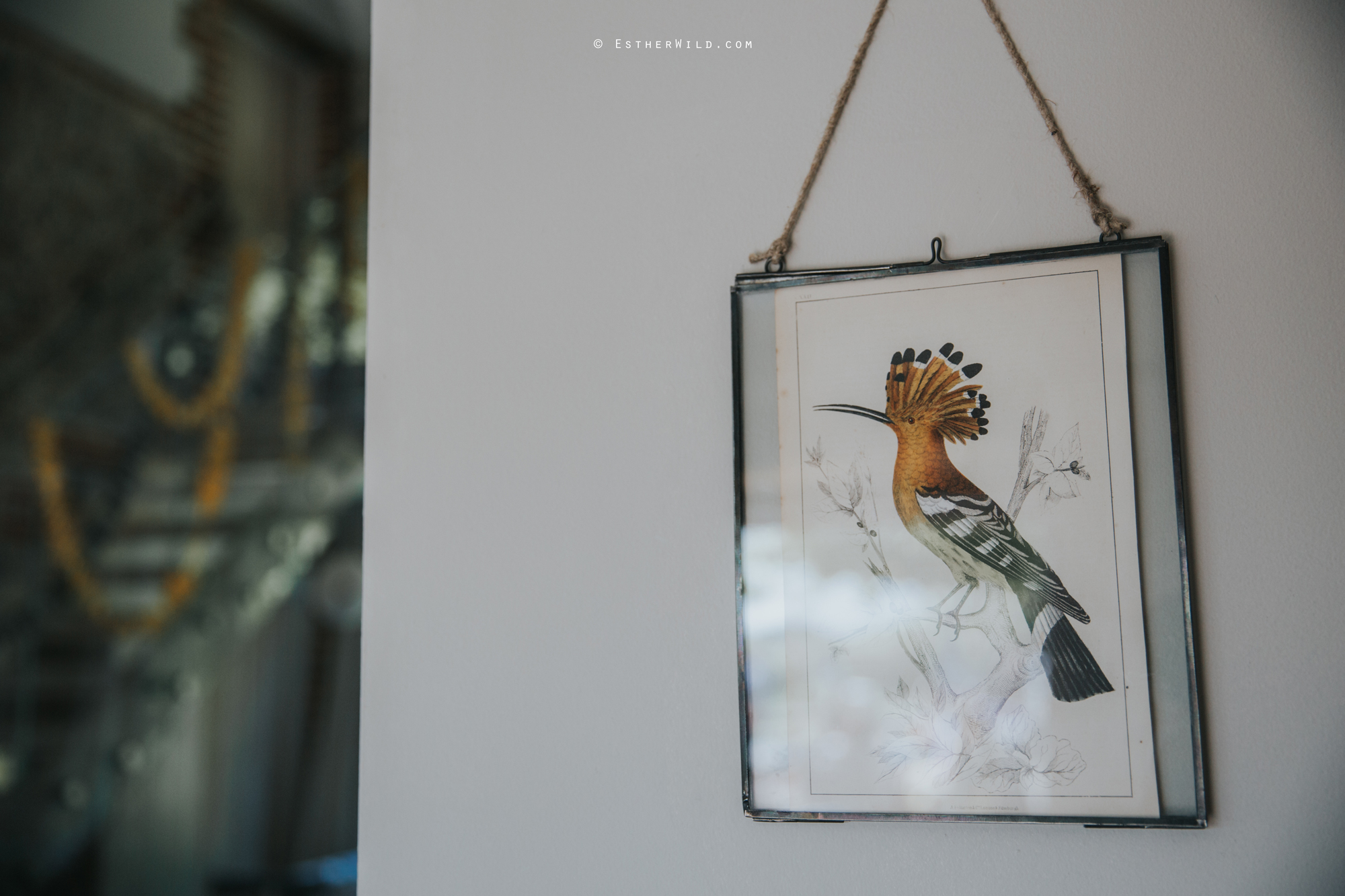 IMG_1581Cley_Barn_Drift_Norfolk_Coast_Wedding_Copyright_Esther_Wild_Photographer_.jpg