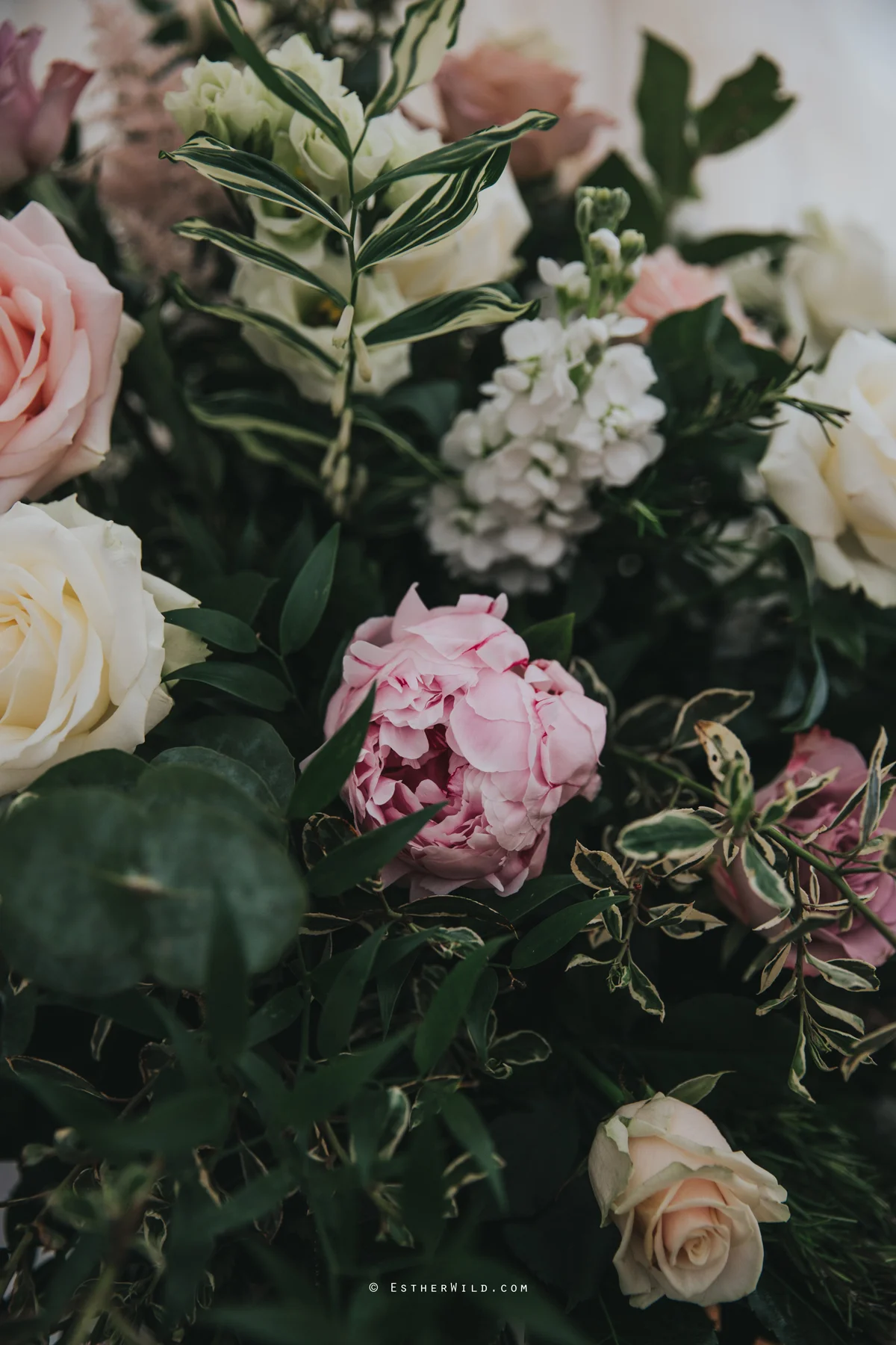 Wootton_Wedding_Copyright_Esther_Wild_Photographer_IMG_0312.jpg