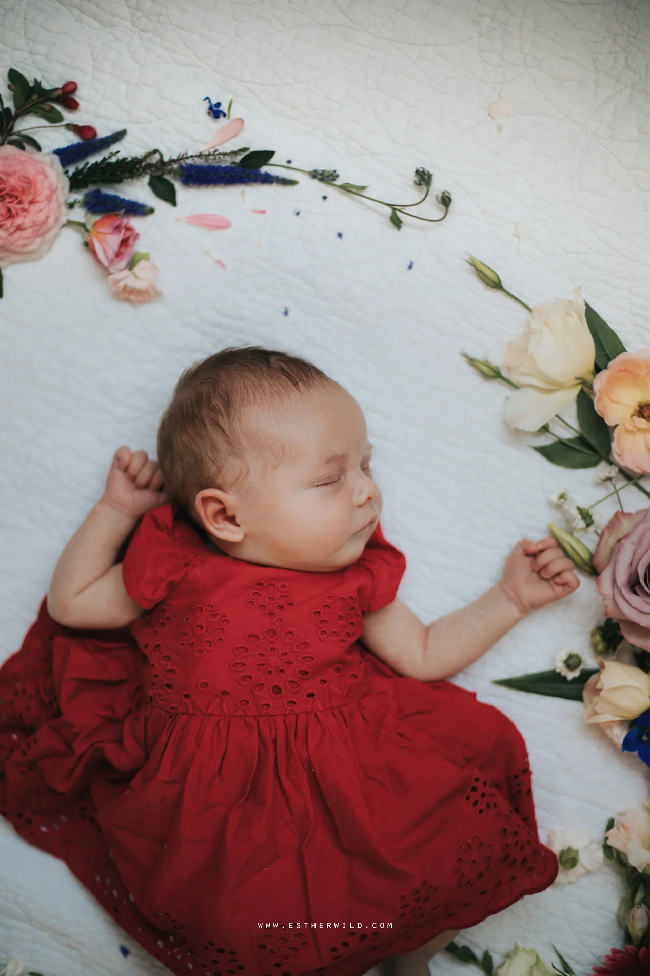Newborn_Family_Photographer_Home_Norfolk_3R8A3846.jpg
