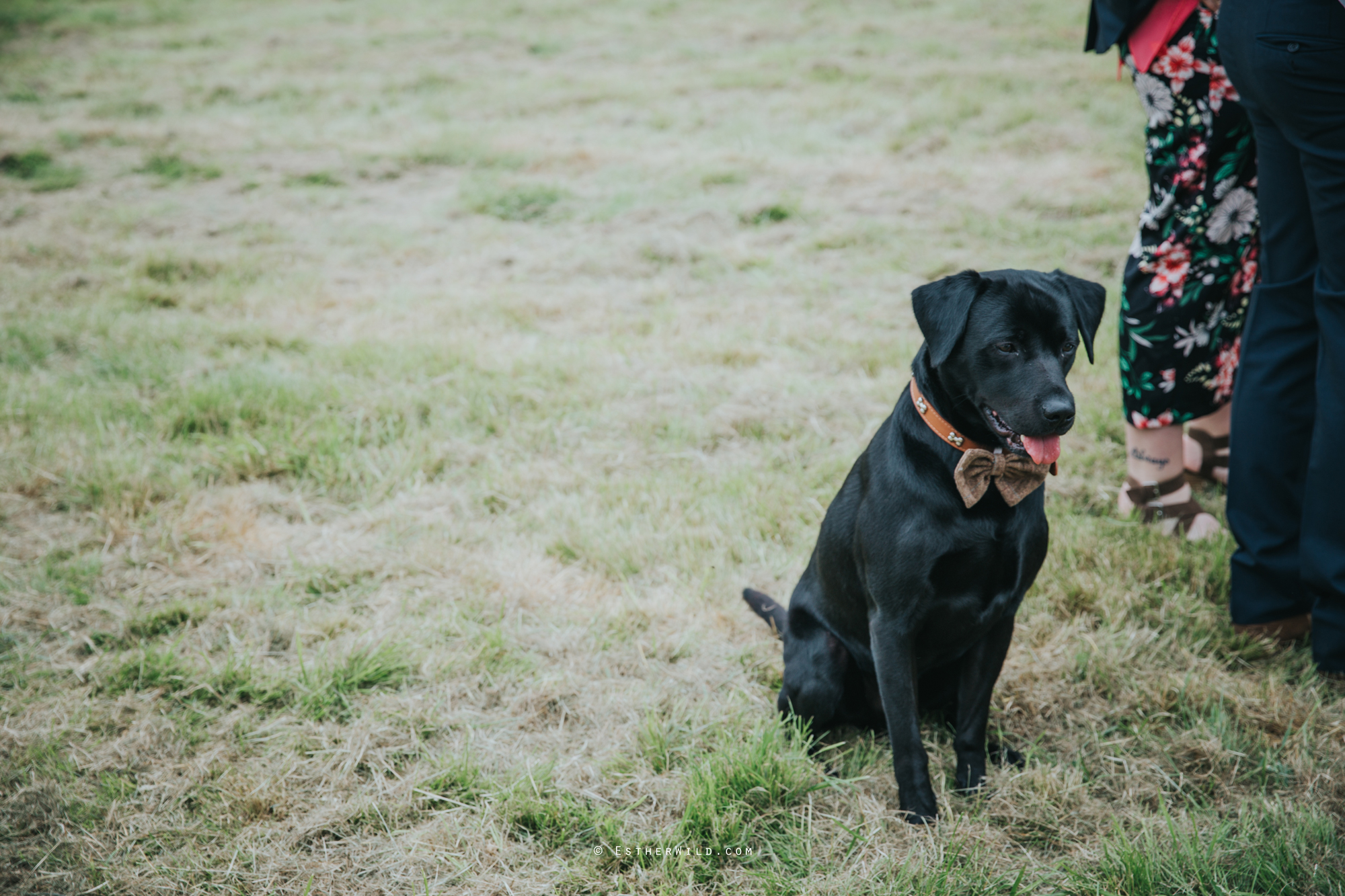 Cockley_Cley_All_Saints_Church_Necton_Norfolk_Esther_Wild_Photographer_IMG_0756.jpg