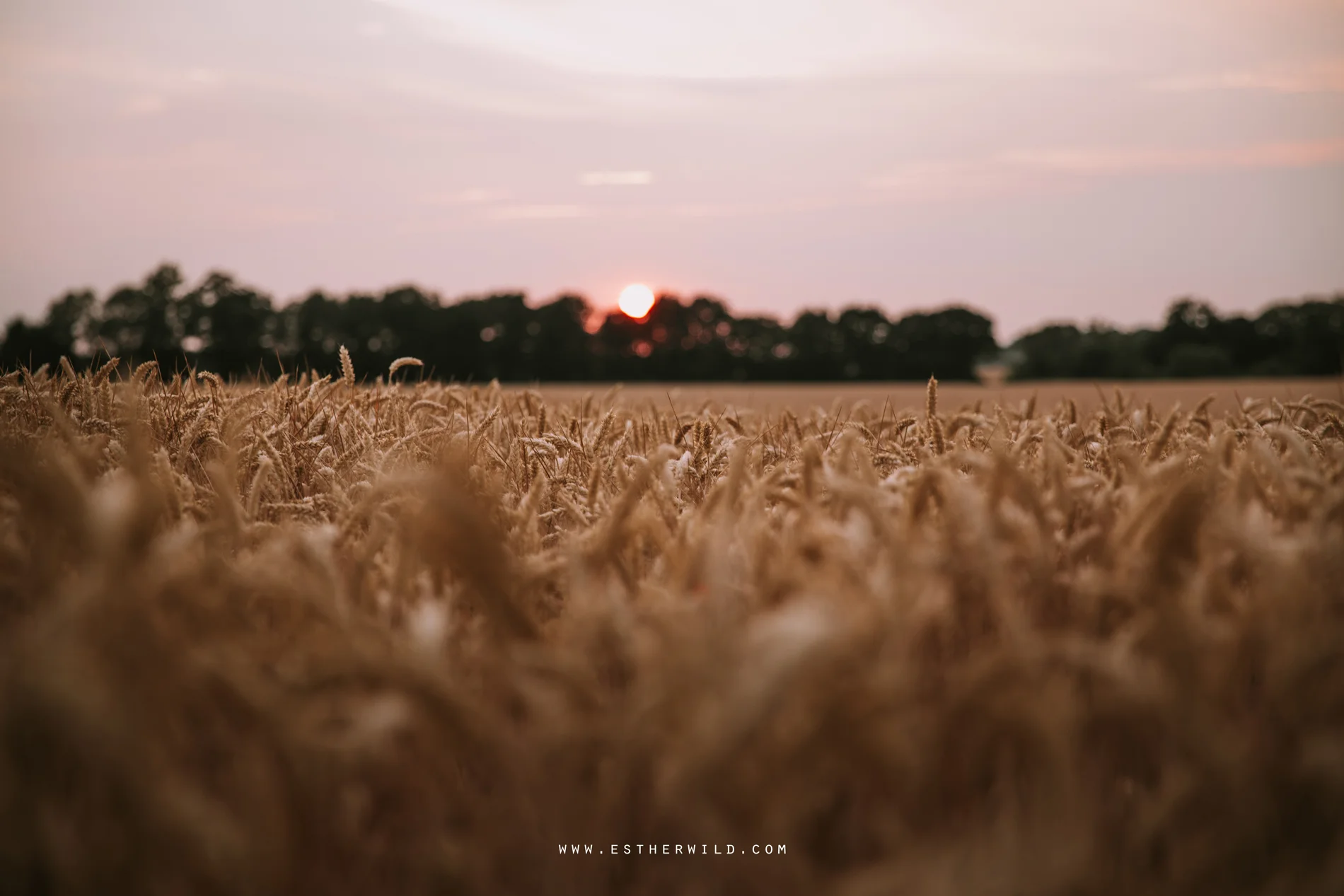 The_Red_Barn_Wedding_Kings_Lynn_Norfolk_IMG_2904.jpg