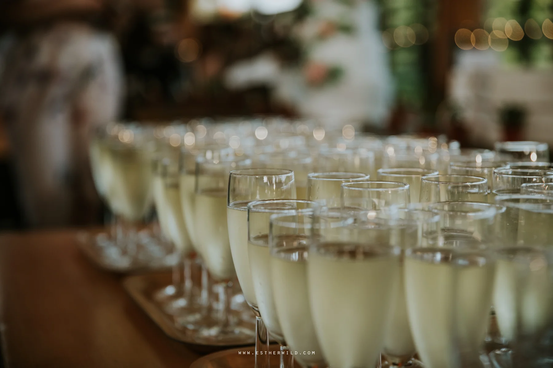Norwich_Castle_Arcade_Grosvenor_Chip_Birdcage_Cathedral_Cloisters_Refectory_Wedding_Photography_Esther_Wild_Photographer_Norfolk_Kings_Lynn_3R8A2259.jpg