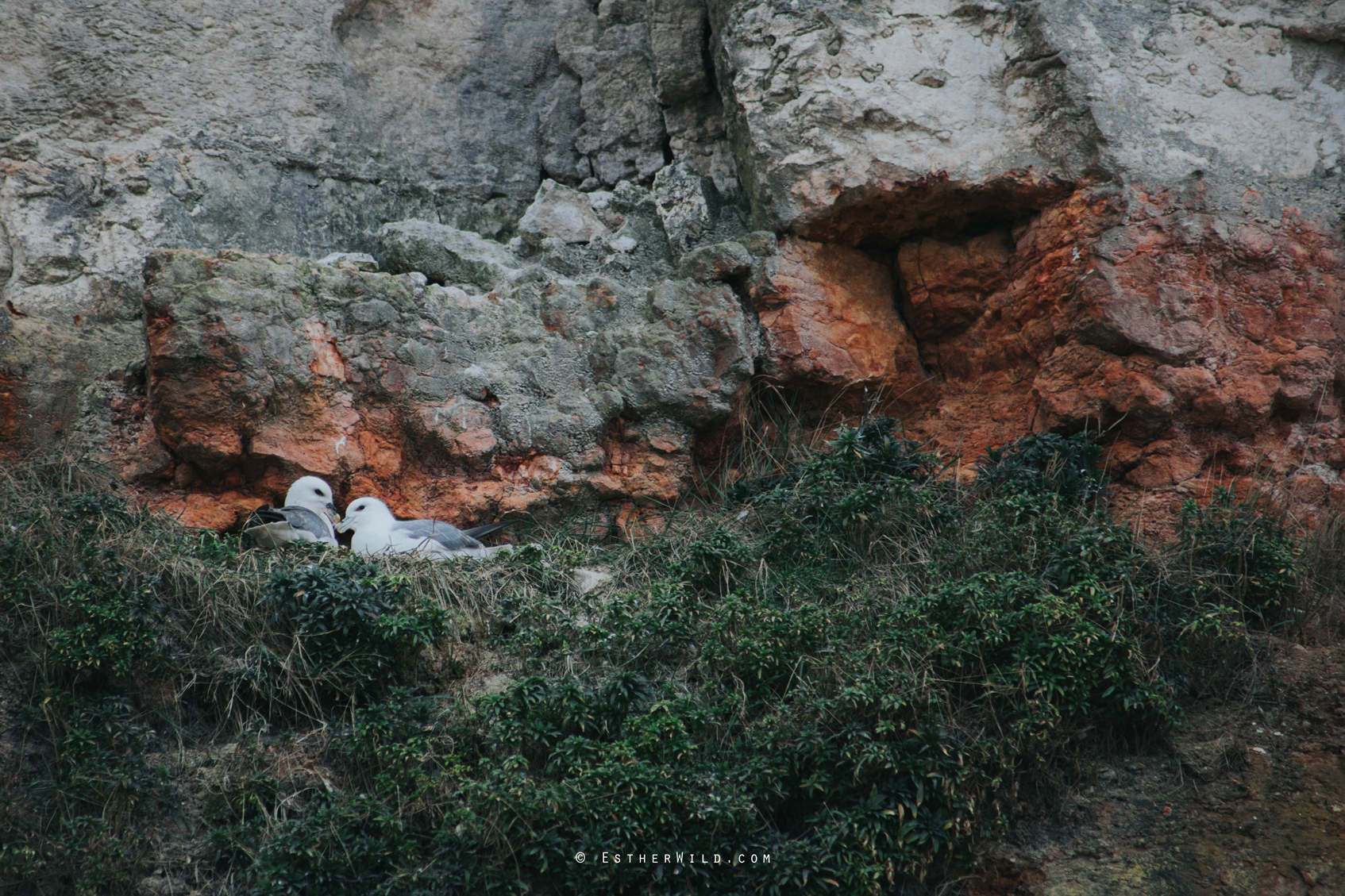 Hunstanton_Photo_Session_Engagement_Love_Pre-Wedding_IMG_5380.jpg