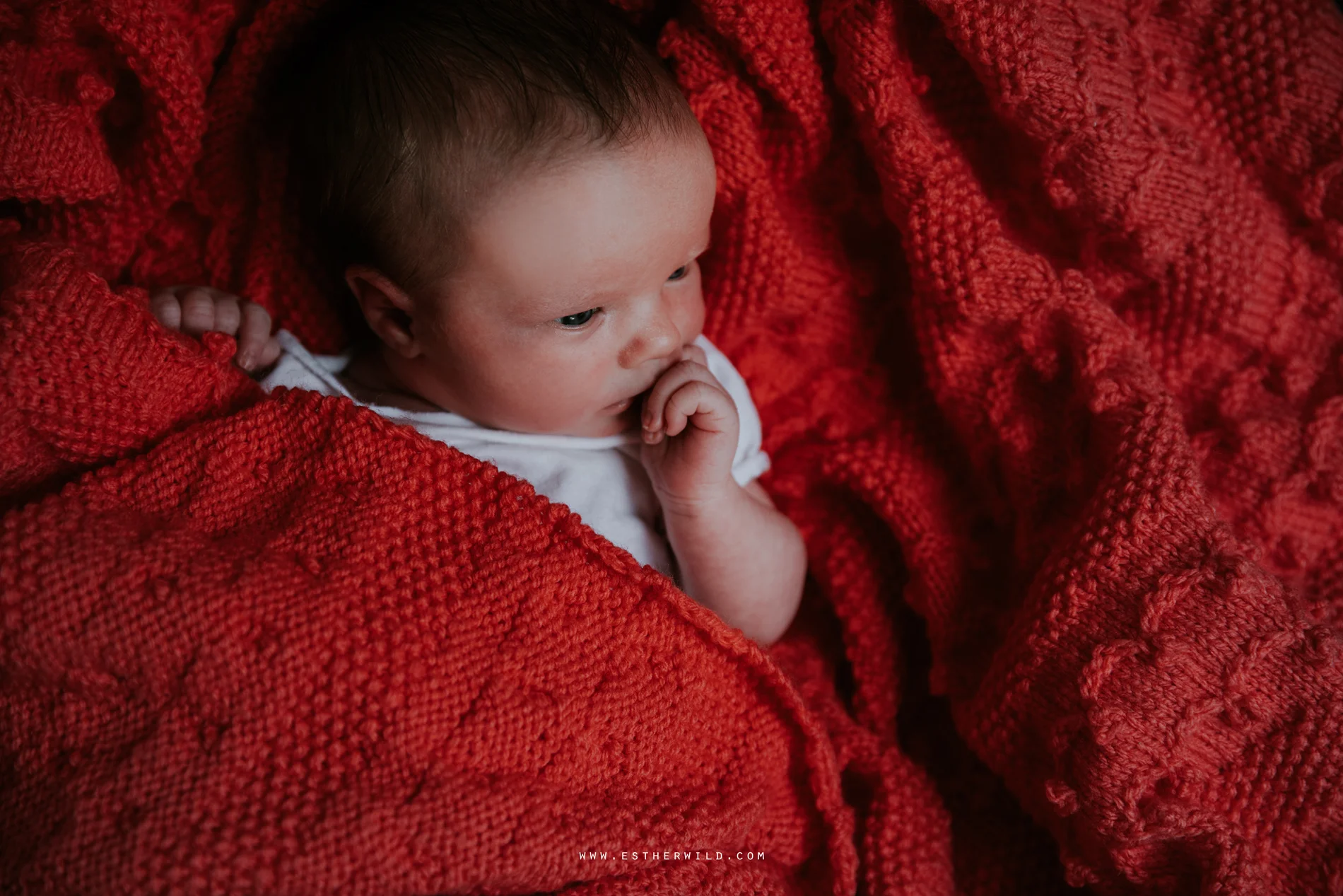 Newborn_Family_Photographer_London_Home_Lifestyle_Norfolk_3R8A3984.jpg