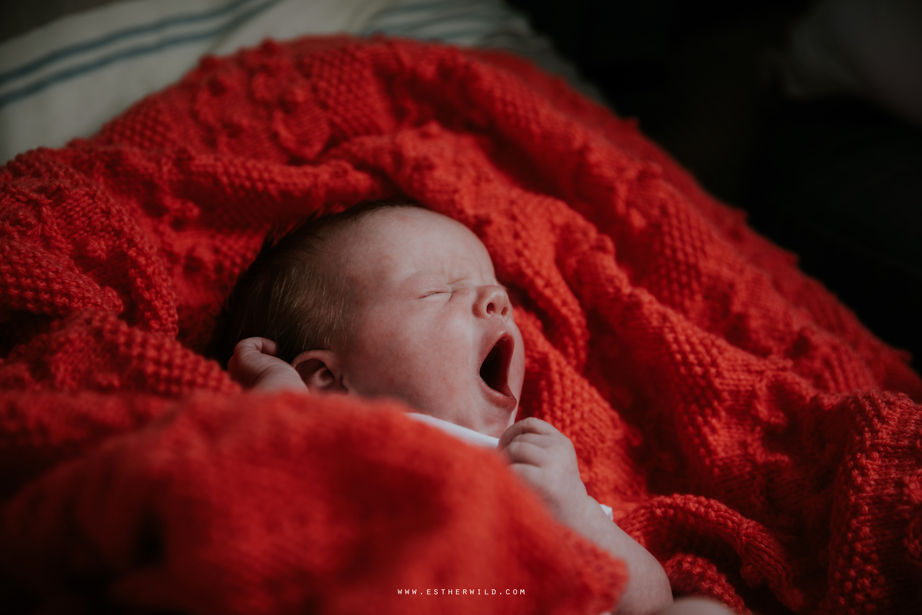 Newborn_Family_Photographer_London_Home_Lifestyle_Norfolk_3R8A4020.jpg