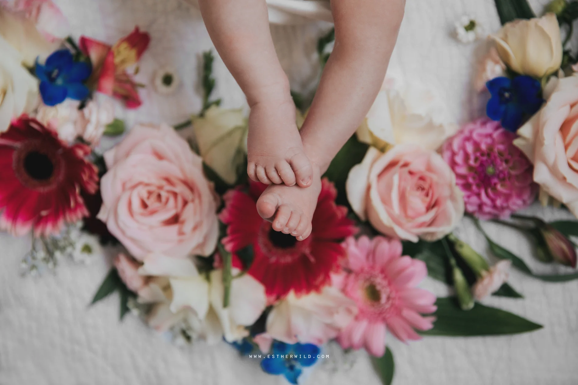 Newborn_Family_Photographer_Home_Norfolk_3R8A3786.jpg