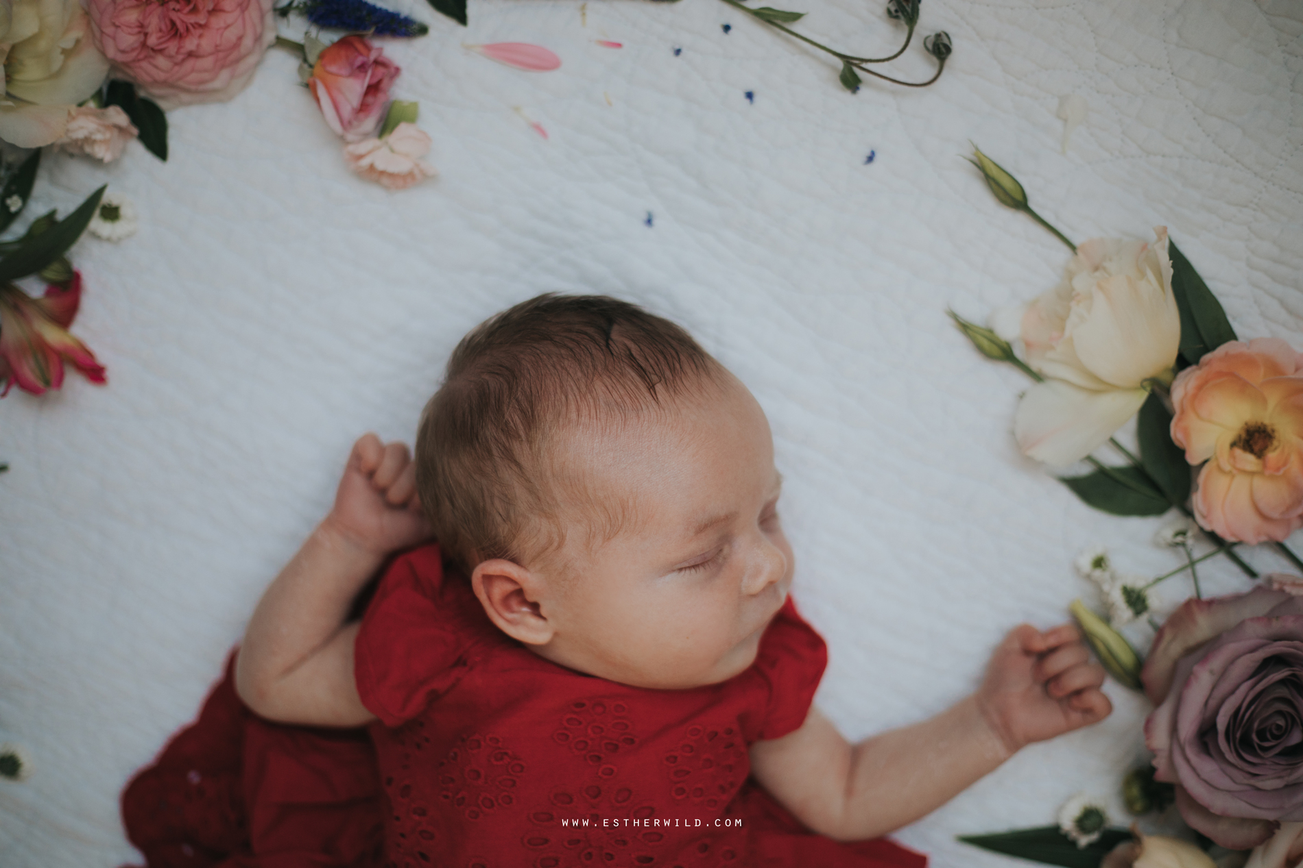 Newborn_Family_Photographer_Home_Norfolk_3R8A3845.jpg