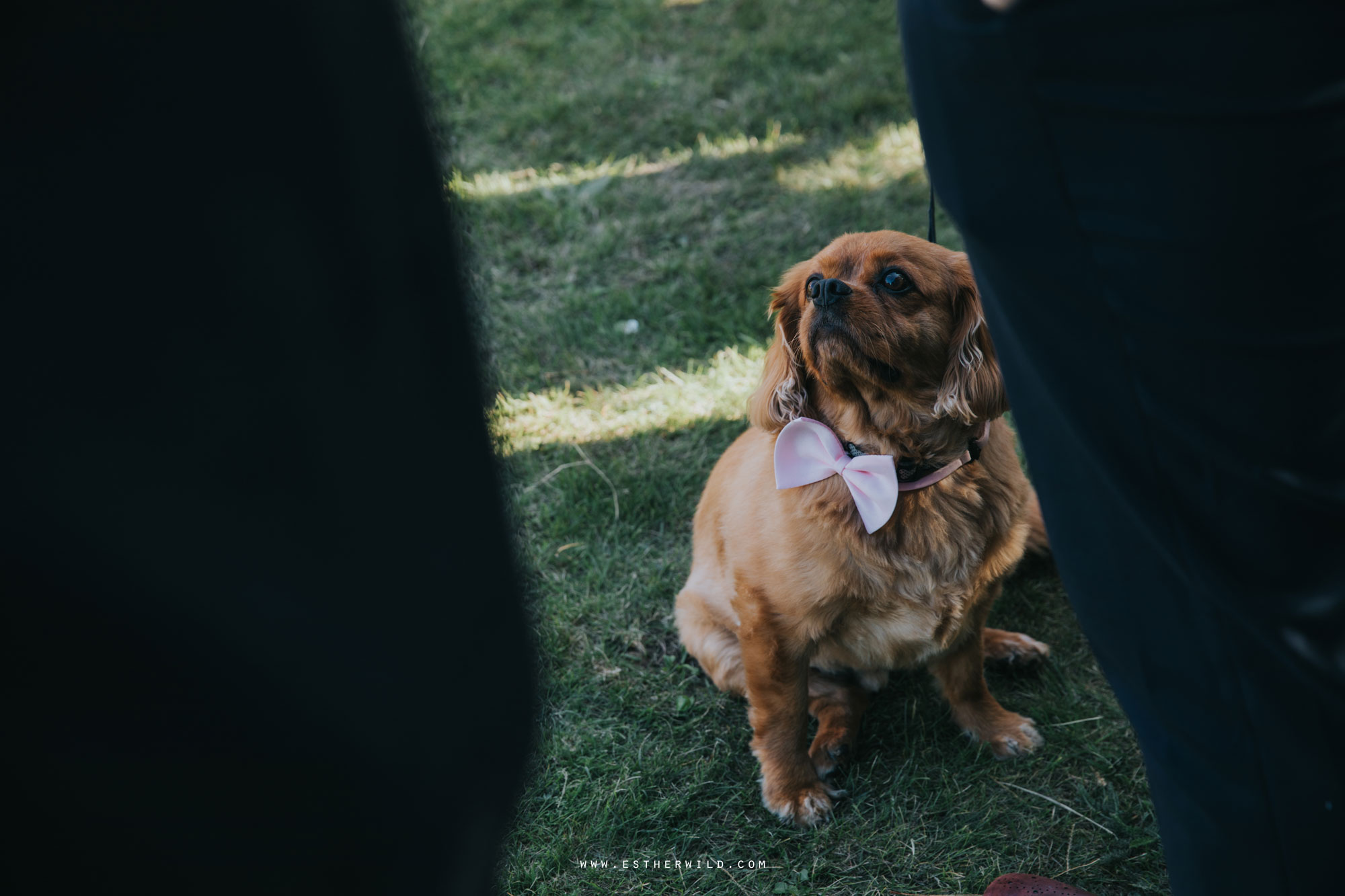 Cromer_Wedding_Beach_Outdoor_Ceremony_Norfolk_North_Lodge_Registry_Office_Rocket_House_Cafe_Cromer_Pier_IMG_3656.jpg