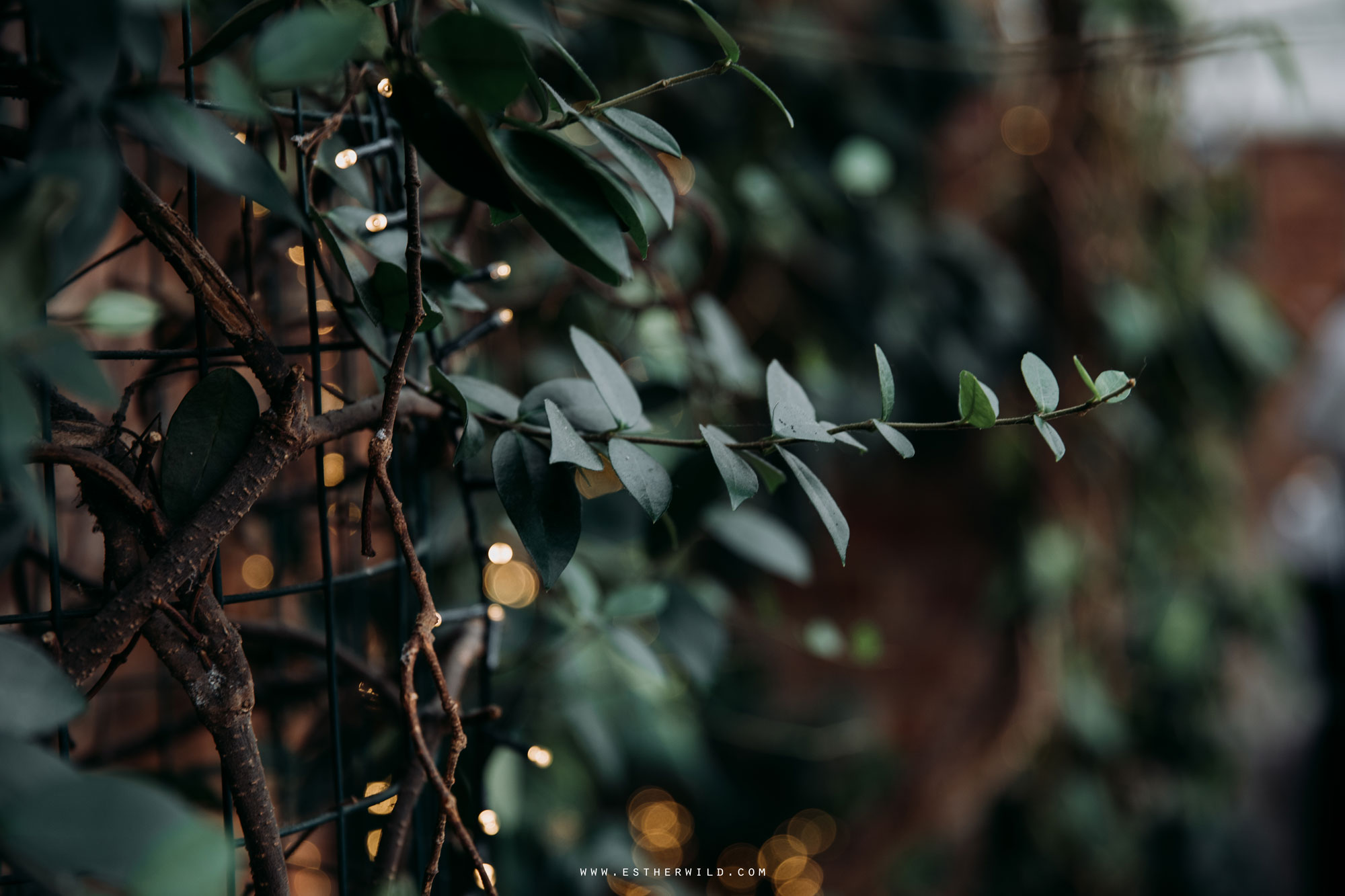 Northbrook_Park_Farnham_Surrey_London_Wedding_Hindu_Fusion_Esther_Wild_Photographer_IMG_5326.jpg