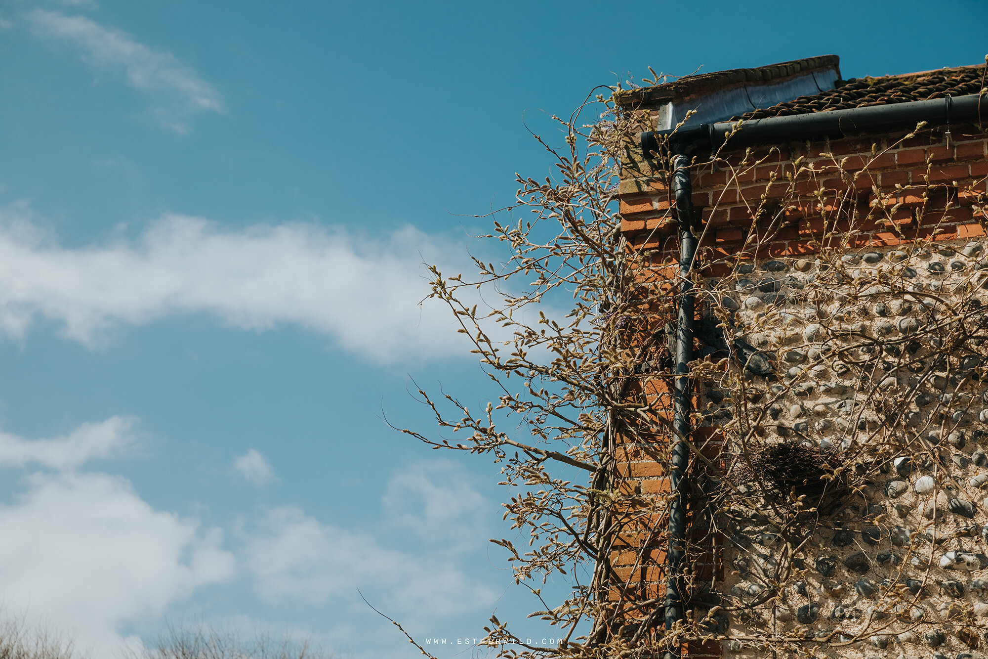 Chaucer_Barn_Spring_Gresham_Holt_Wedding_Photography_Copyright_Esther_Wild_Photographer_IMG_0150.jpg