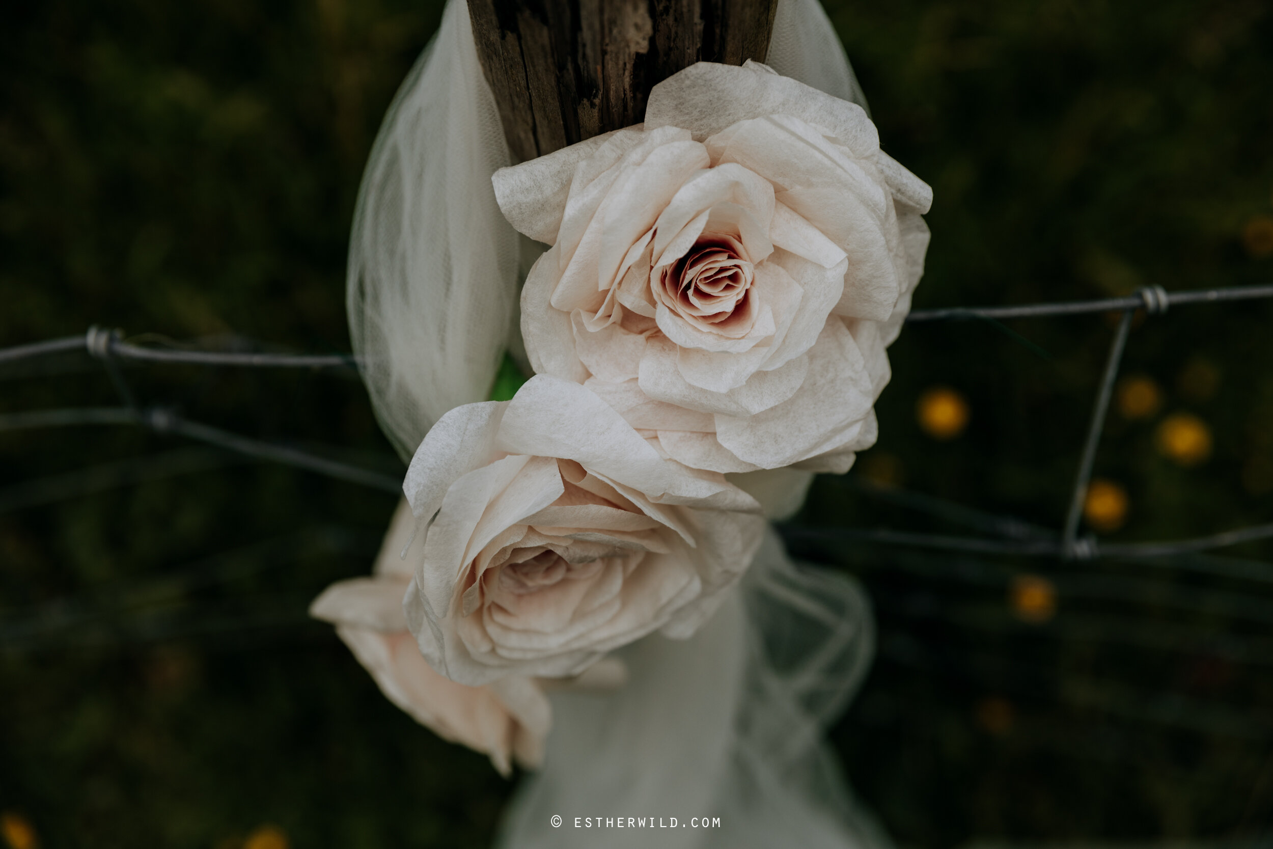 one_curious_dream_norfolk_wedding_planning_venue_photographer_©_Esther_Wild_43-IMG_0121.jpg