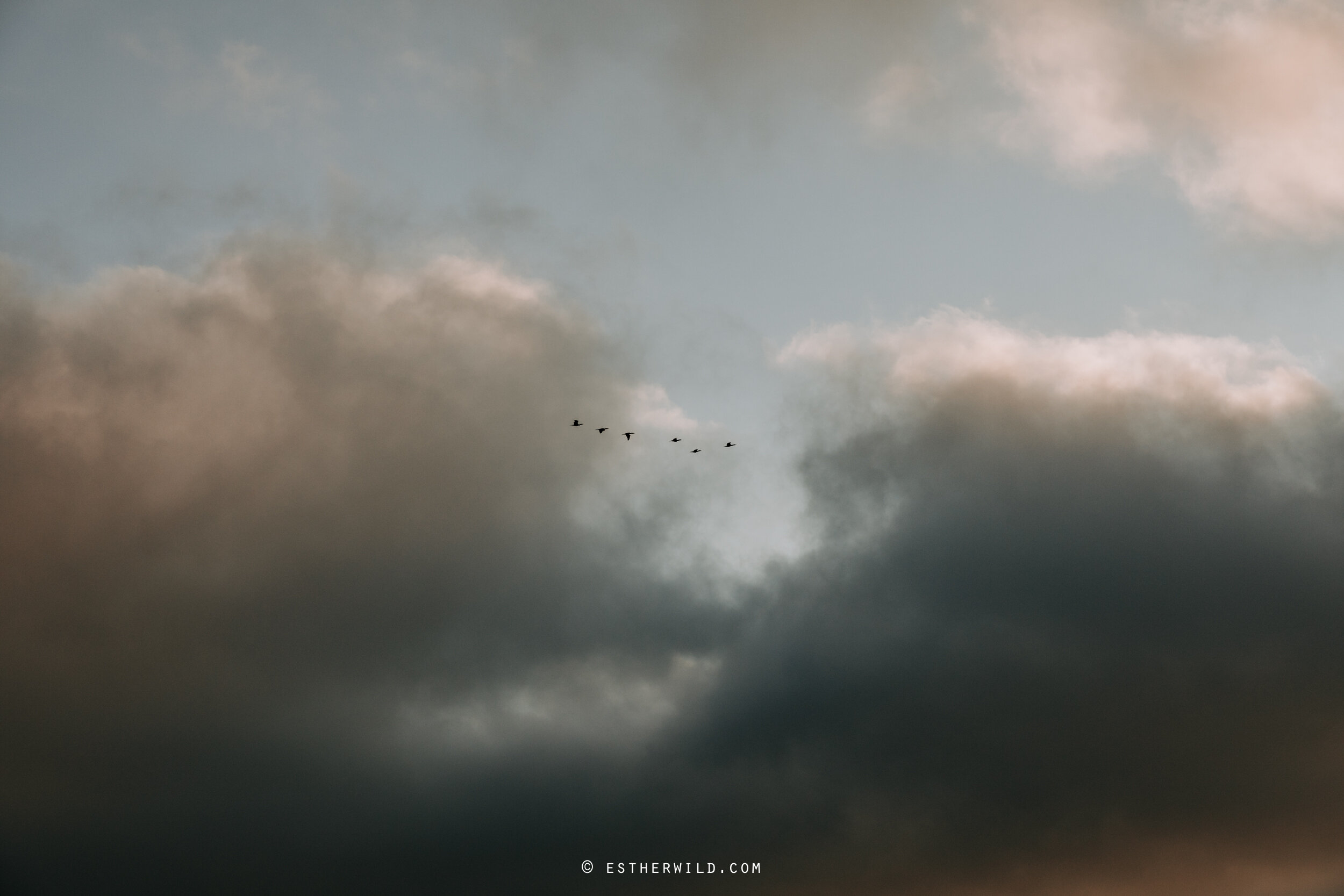 Barn_Drift_Cley_Norfolk_Wedding_Esther_Wild_Photographer_©_Esther_Wild_675-IMG_2316.jpg