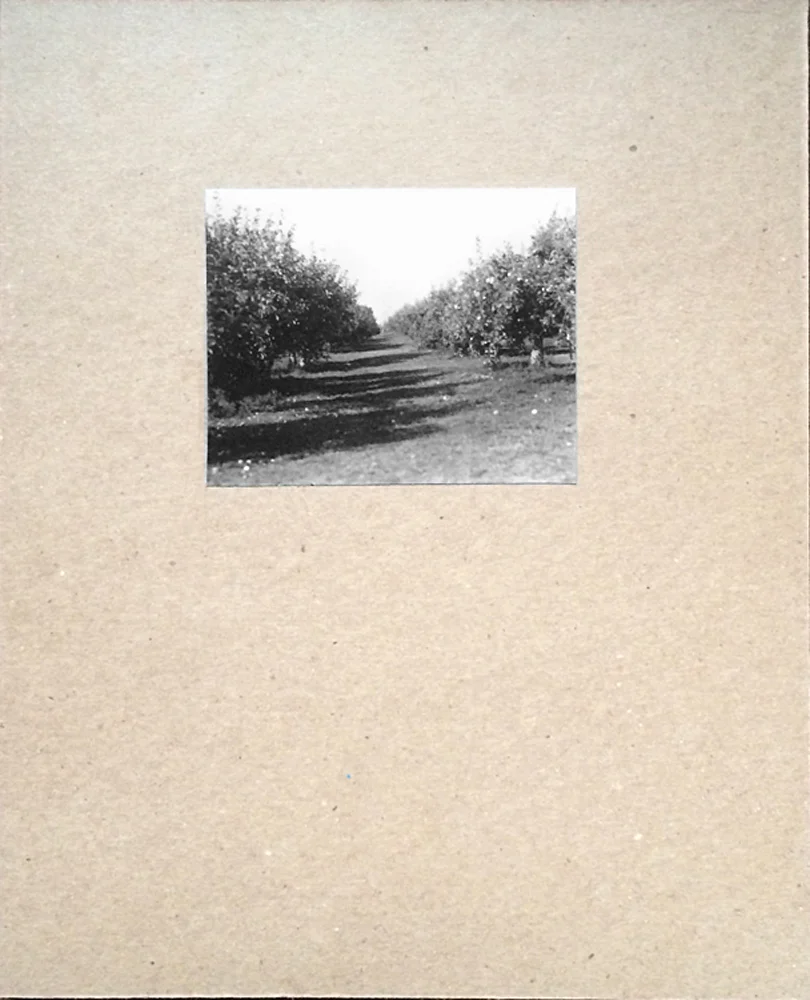 edition of 4, 2015 18 gelatin silver prints from the Fishkill series of work contained in handmade box with tipped in gelatin silver print on cover.