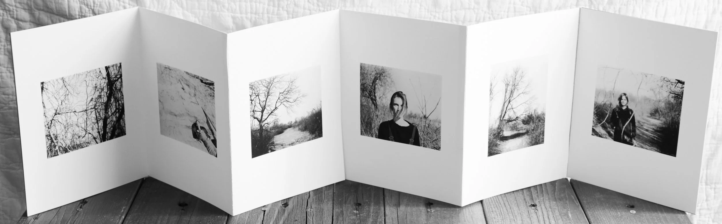 edition of 4, 2016 8"x10" folio six 100% carbon inkjet prints, accordion folded, binder's board on ends.