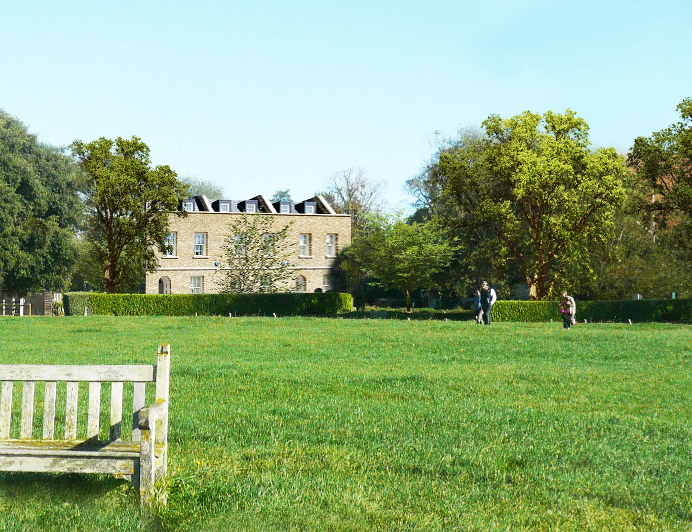 Woodland 4_cropped.jpg