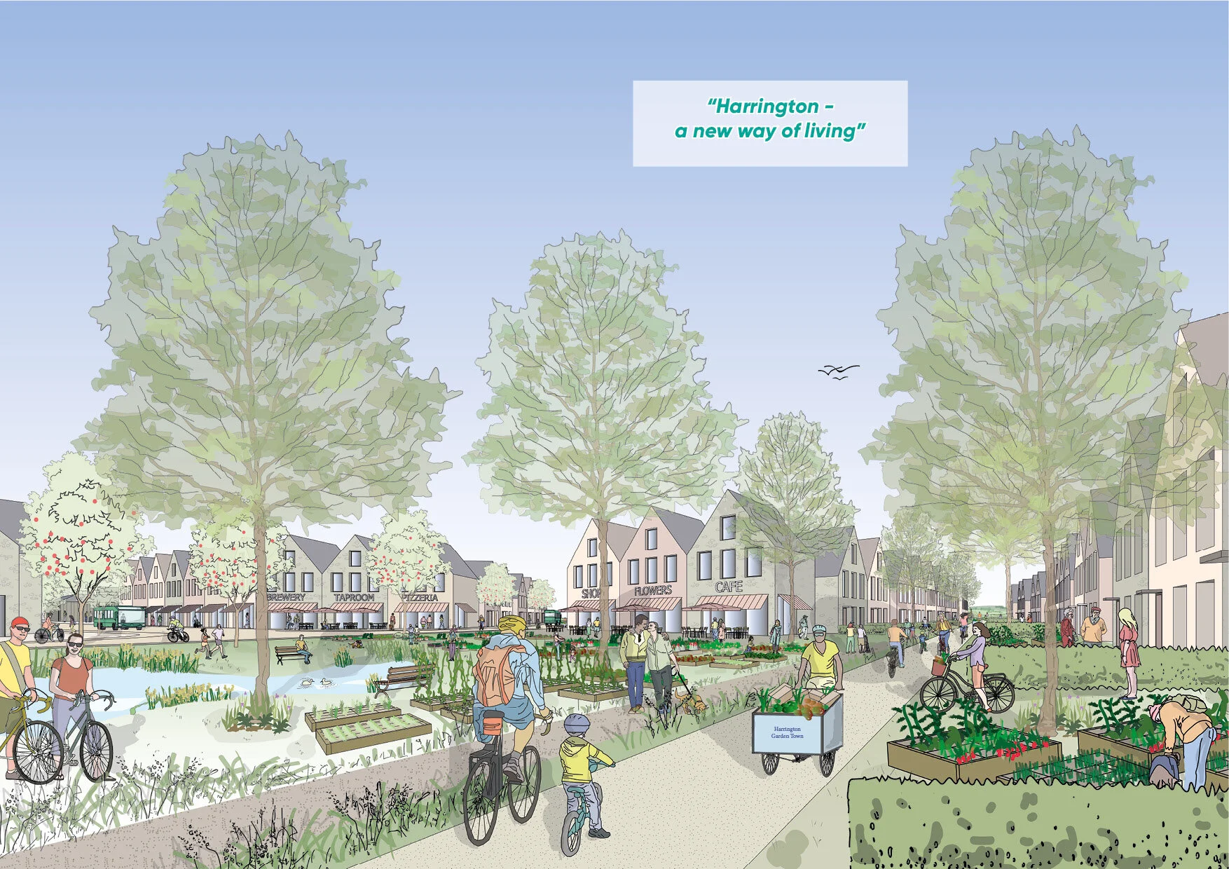 Masterplan-Harrington-P54-01.jpg