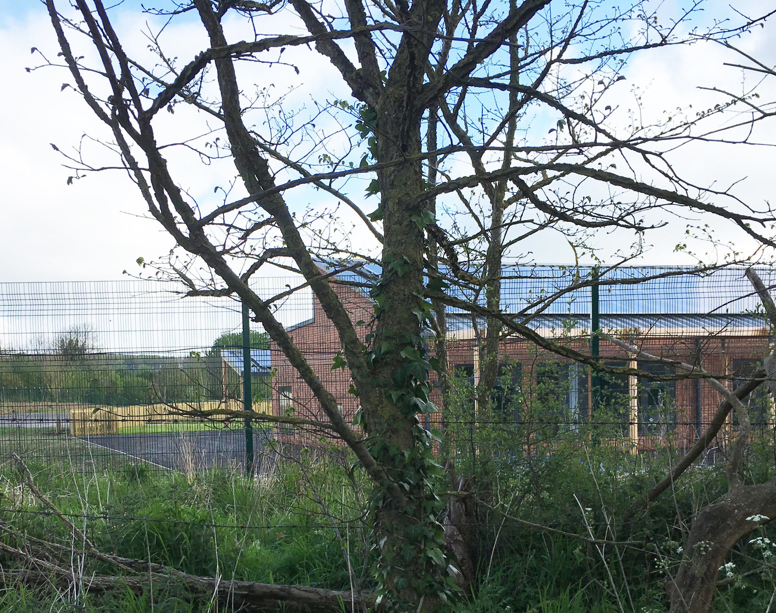 Zero Carbon school NW Bicester Eco Town