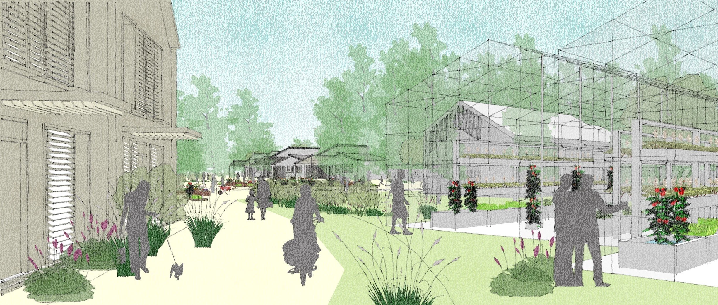 02_East Hanningfield_glass house food growing_DRAFT_26-01-21.jpg