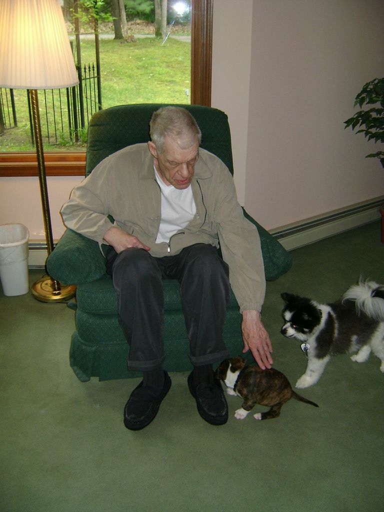 tompets.jpg