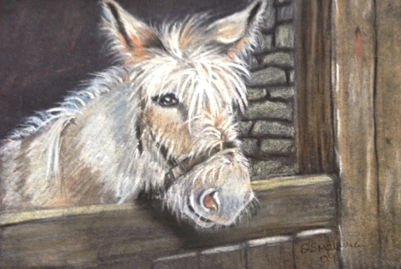 pony - pastel