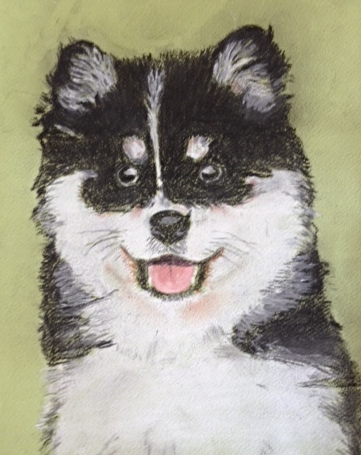 black and white dog in pastel