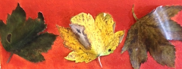 Autumn Leaves - Mixed Media