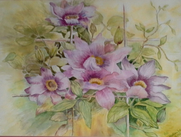 Clematis-watercolour