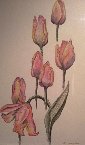 Tulips-watercolour