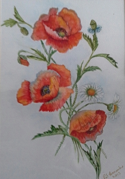 Poppies-watercolour