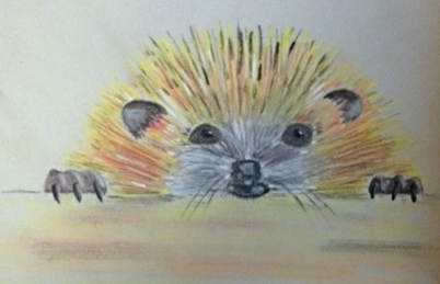 Hedgehog-pastel