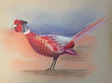 Bird study-pastel