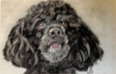 Dog study-pastel