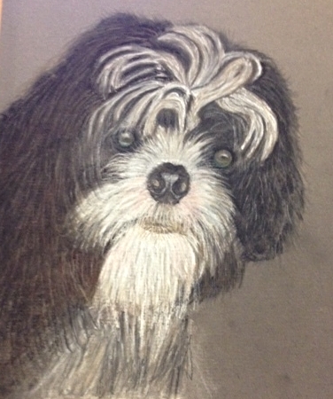 Winston - pastel