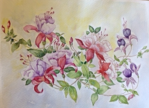 Flowers -watercolour
