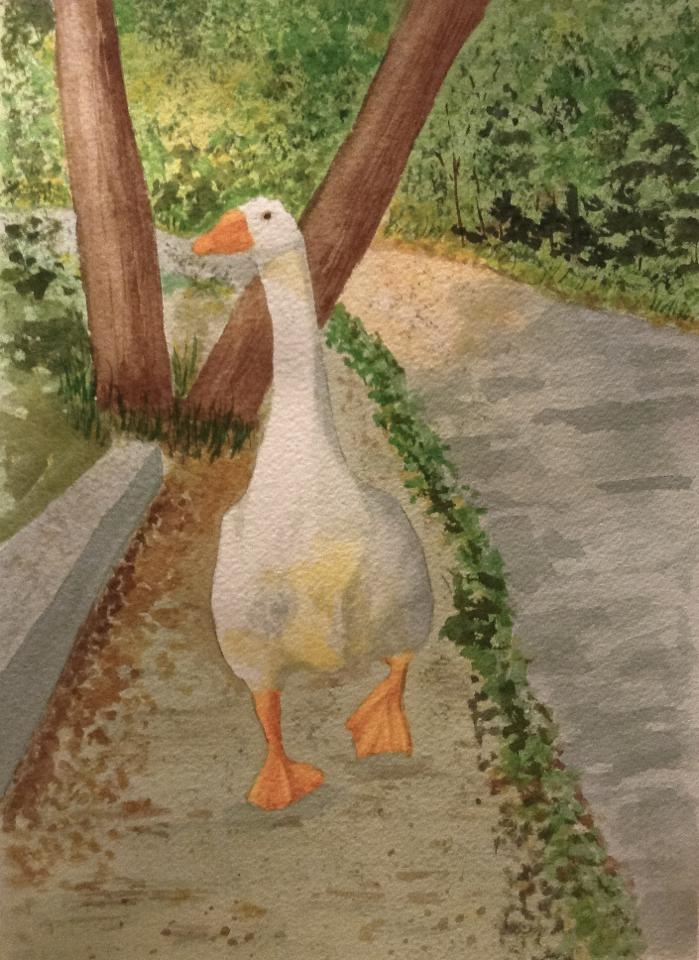 Goose-watercolour