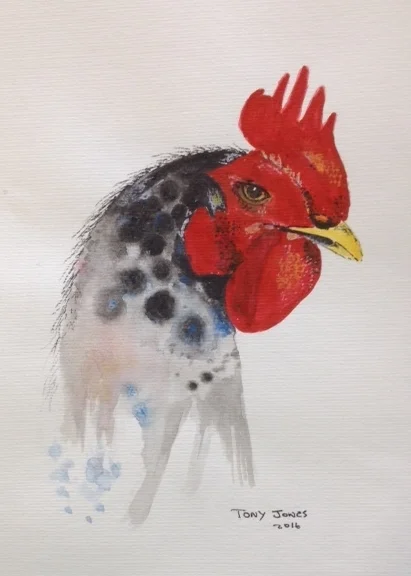 Cockerel -watercolour
