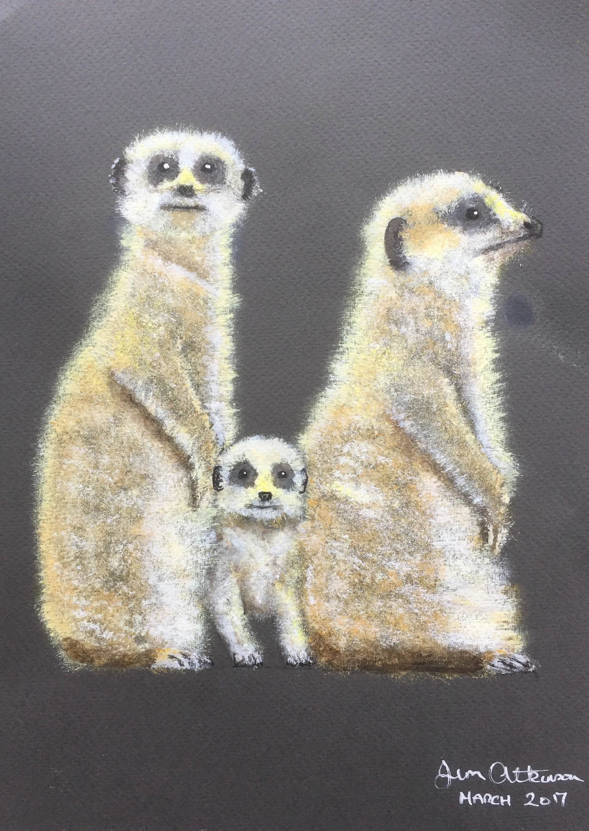 Jim Atkinson meercats.jpg