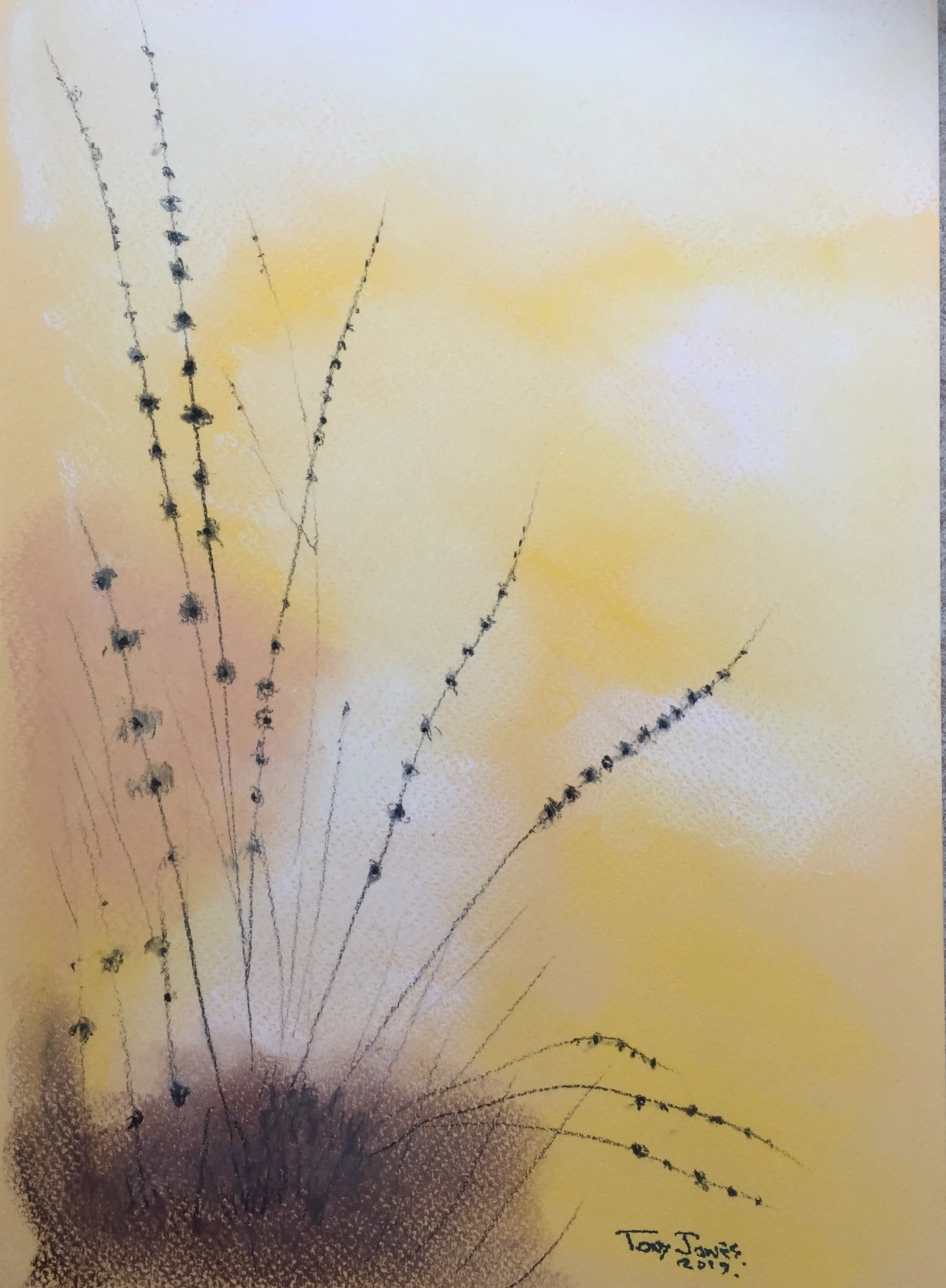 Misty grasses - pastels