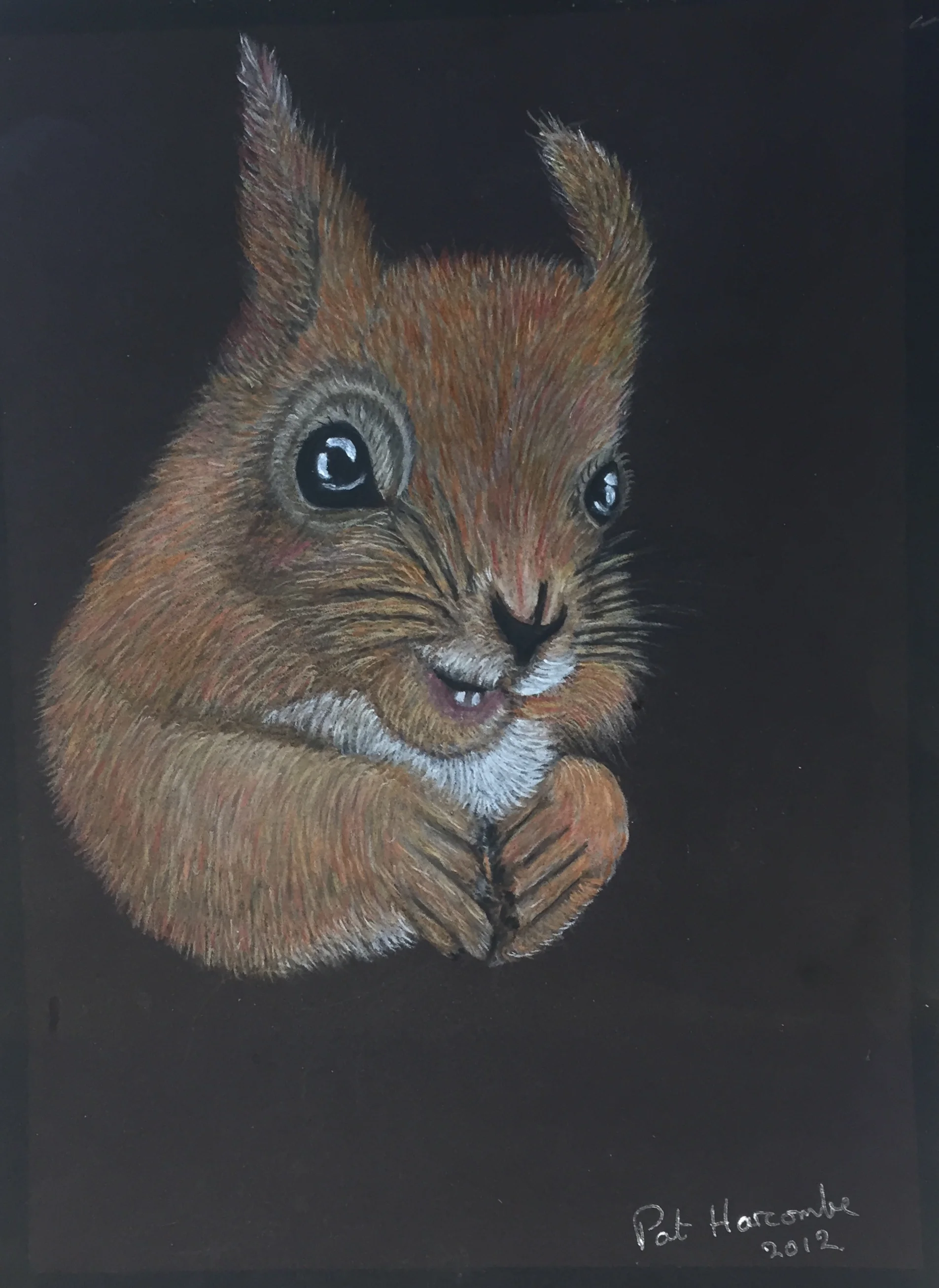 Pastel Pencil.