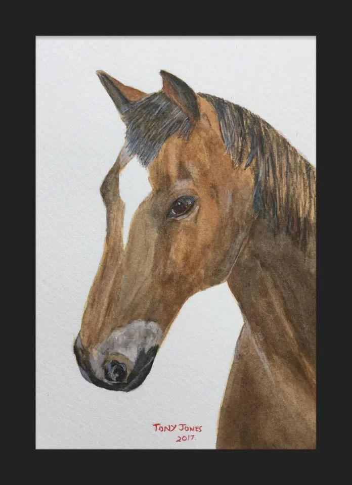 Horse - Watercolour.