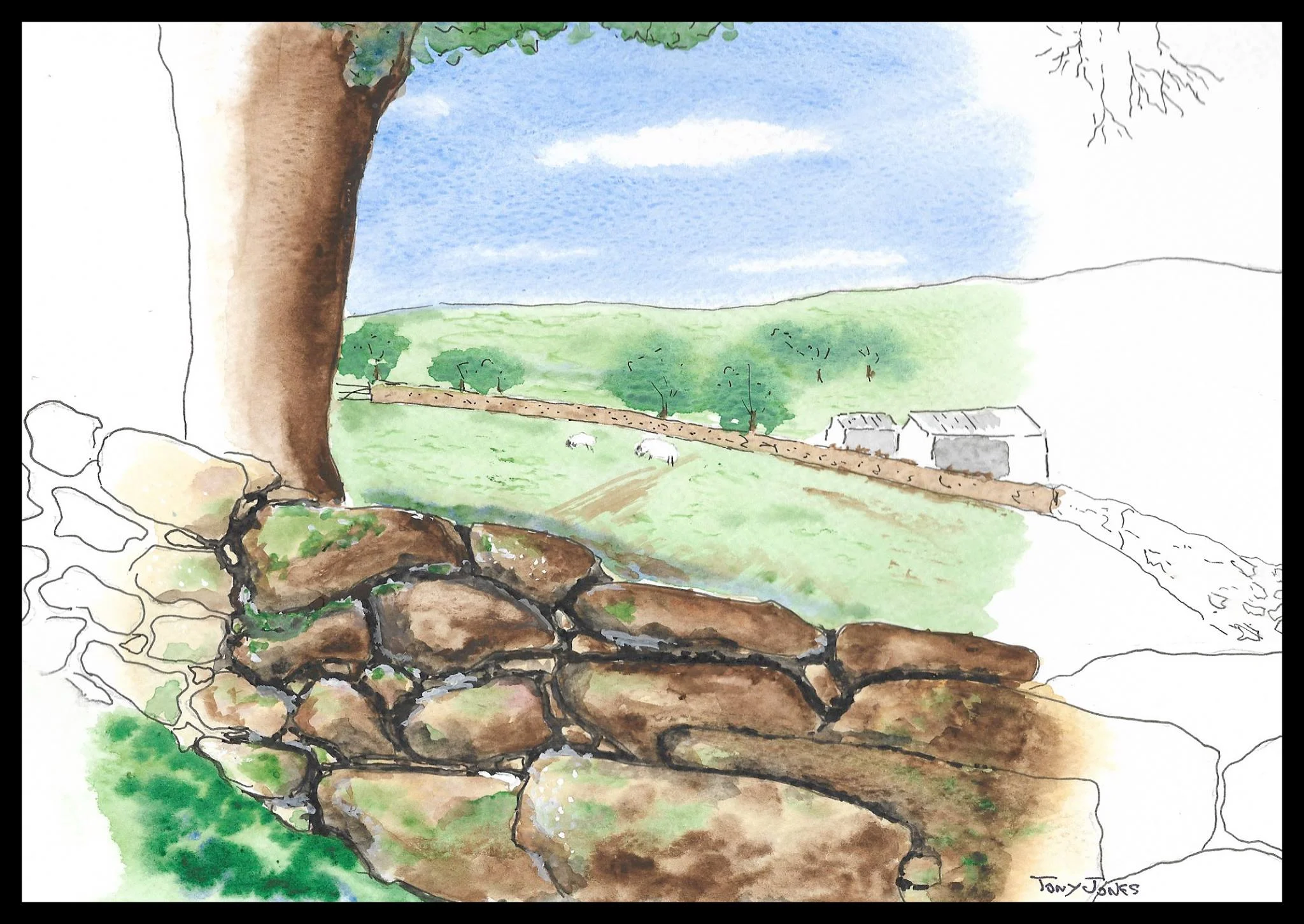Stone wall - Pen and Wash.