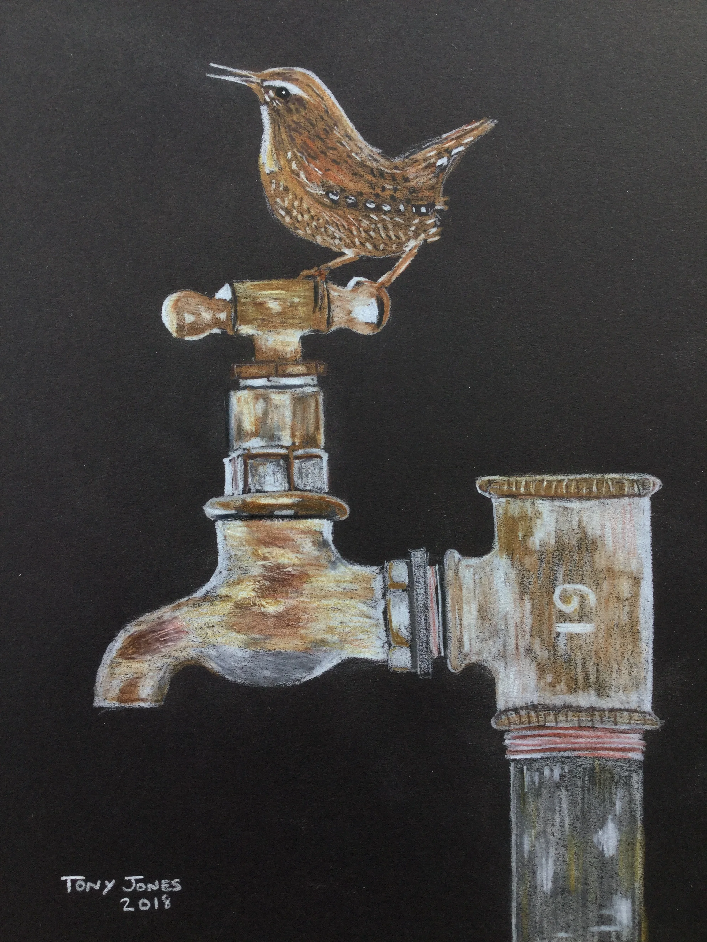 Bird on a tap - Pencil.