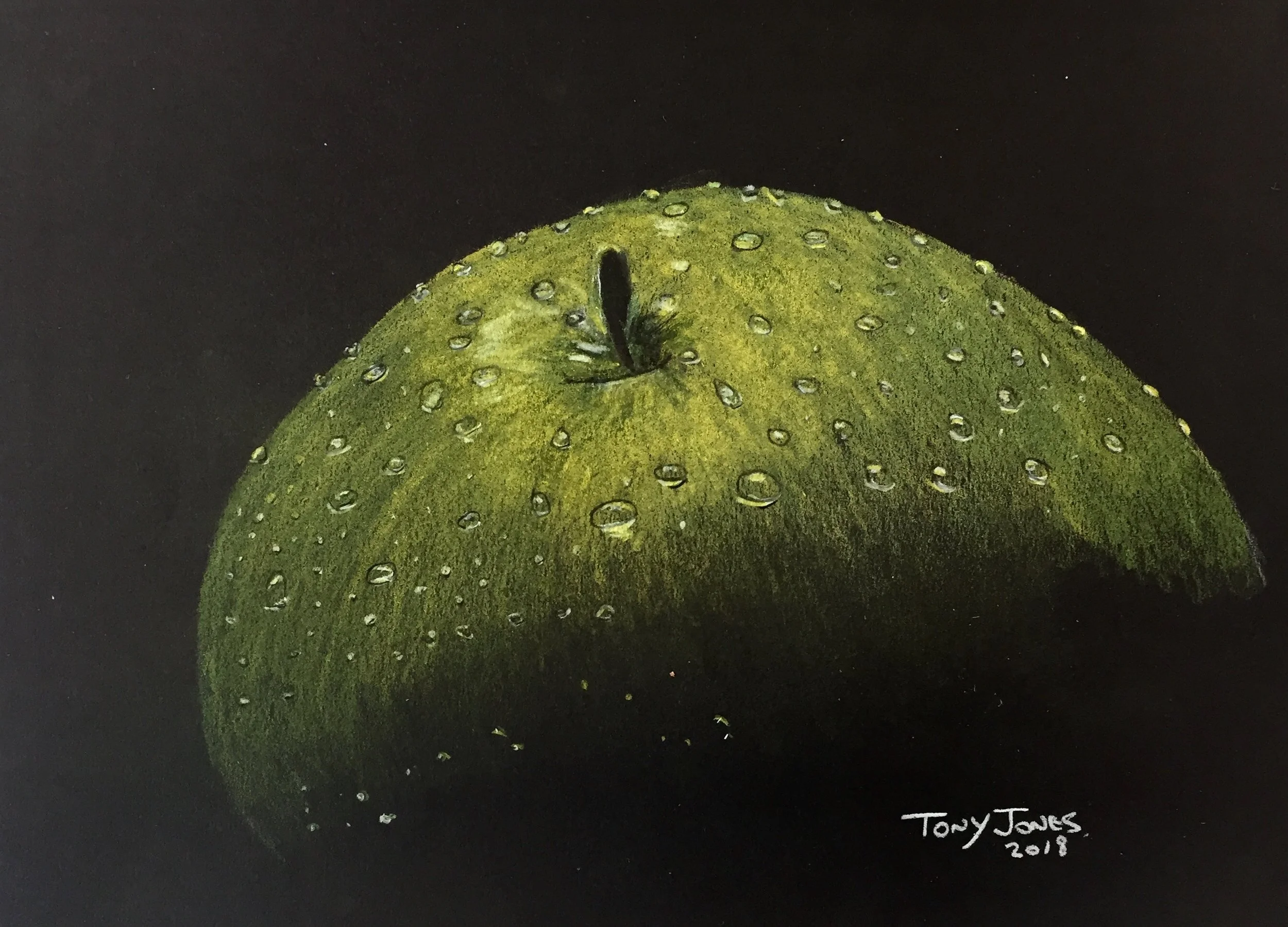 Apple - Polychromos pencil.