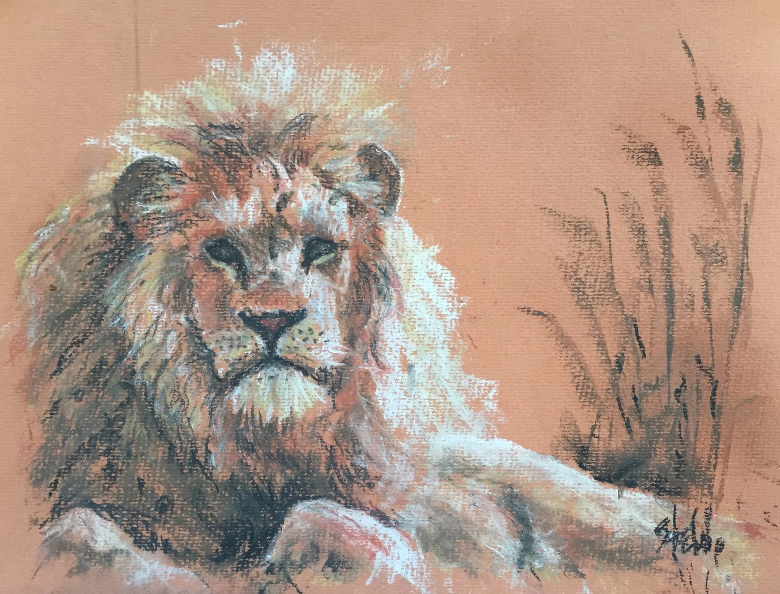 Lion - Pastel.