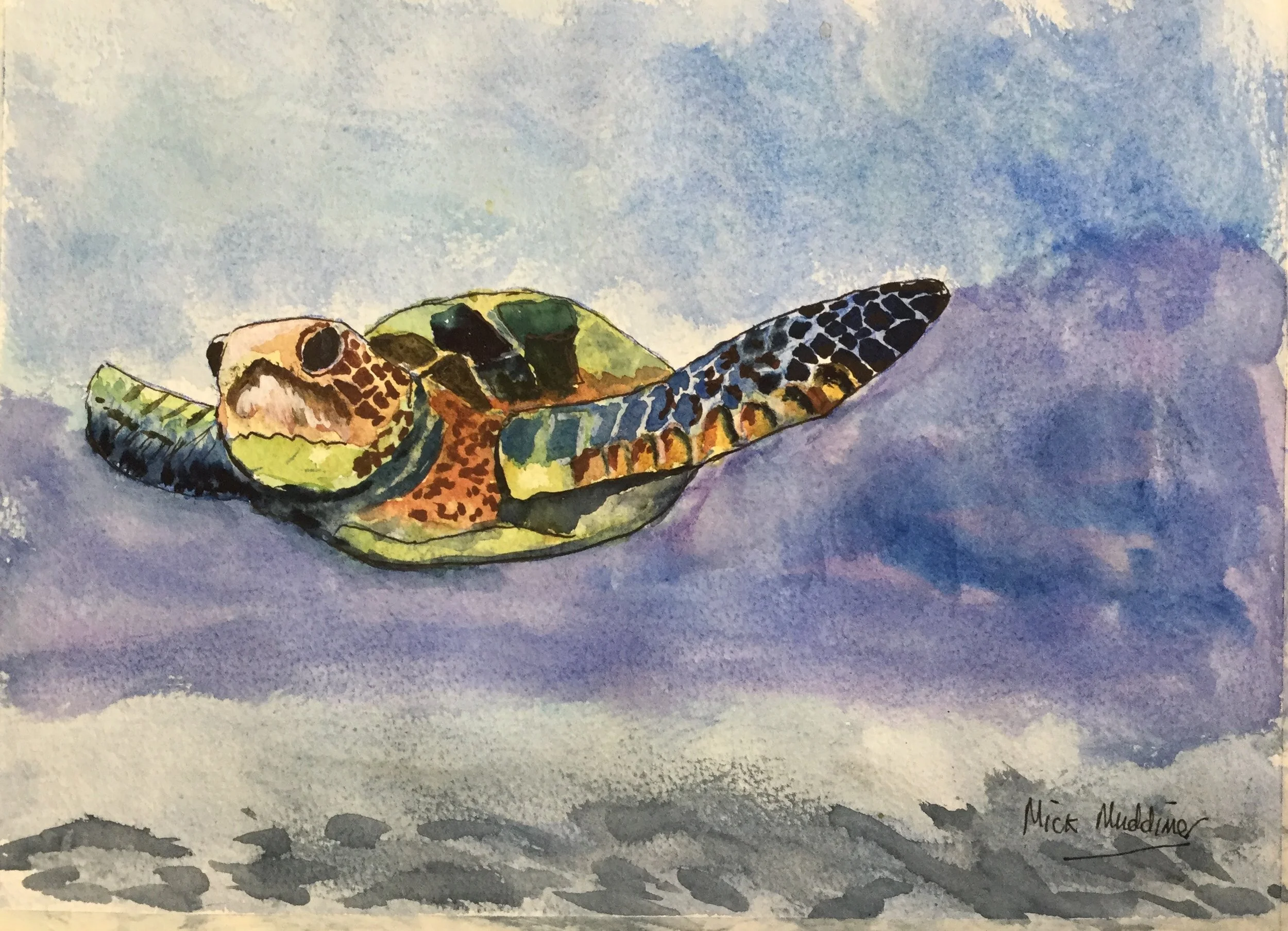 Turtle - Acrylic.