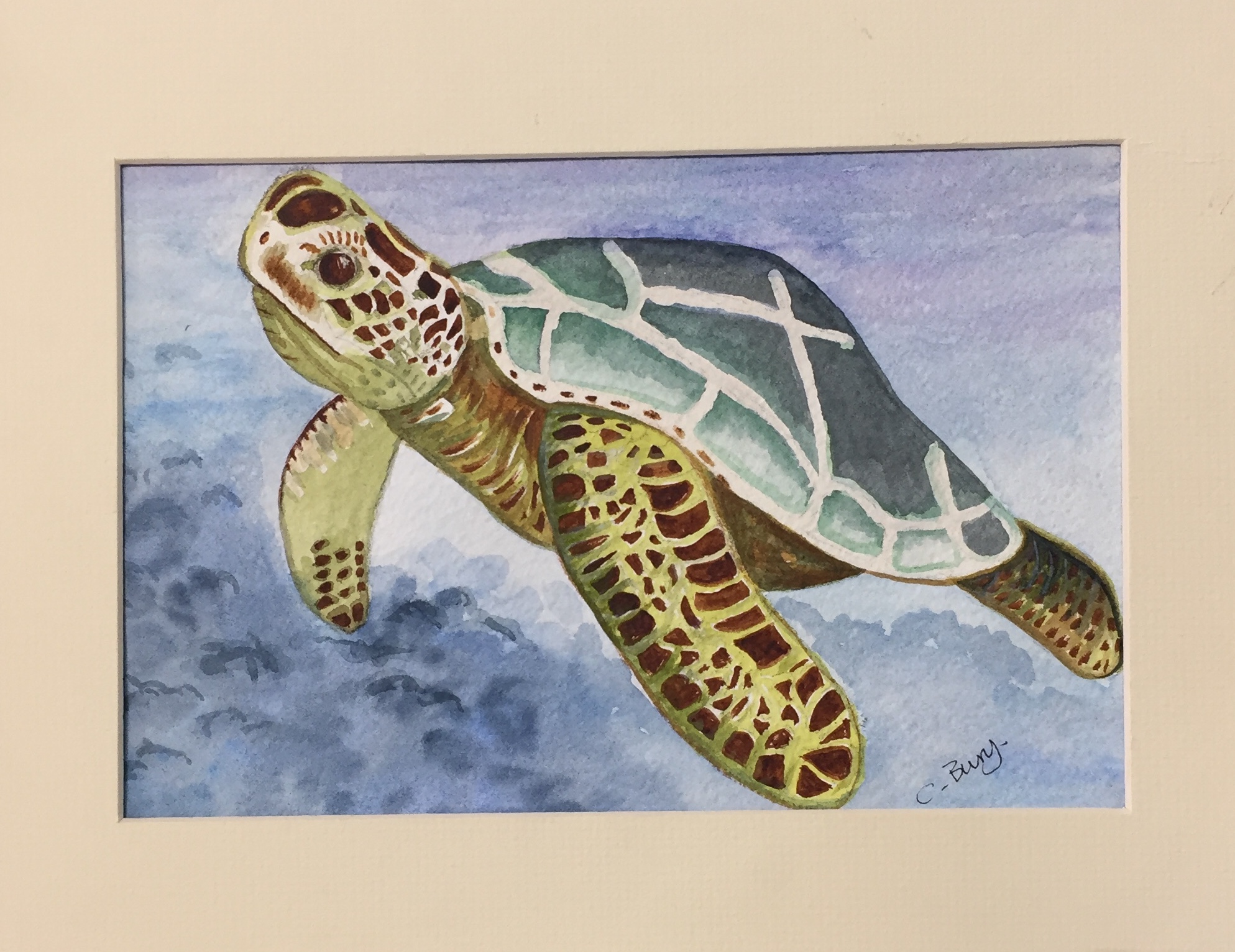 Turtle - Watercolour.