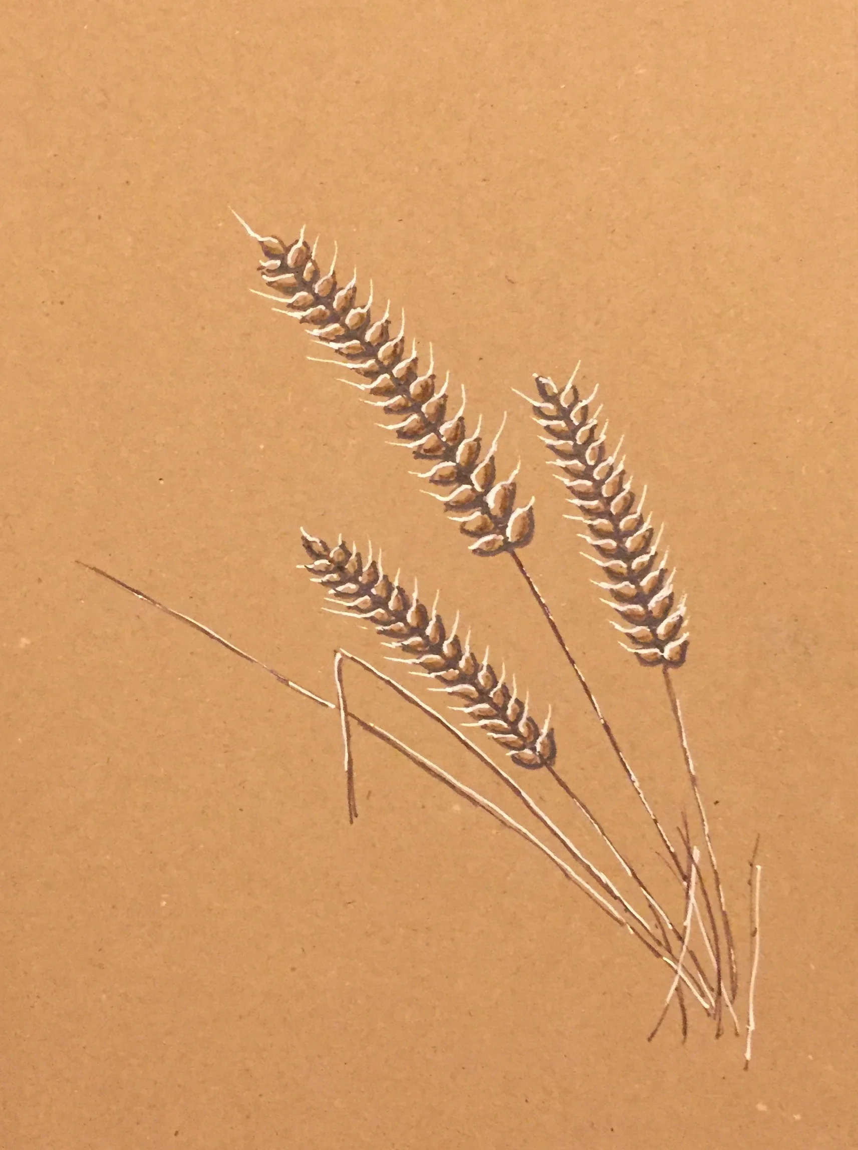 Grasses - Pen.